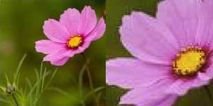 1574062202164838.jpg 只需一部攝像機即可進行動態(tài)實時流式傳輸5.jpg